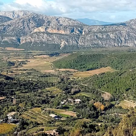 B&B Su Acu Dorgali Exteriör bild